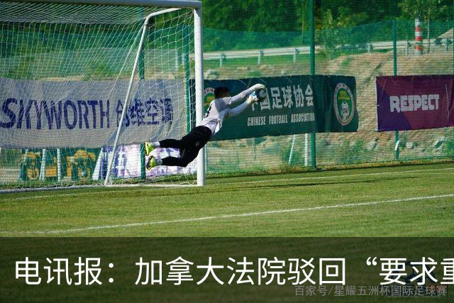 电讯报：加拿大法院驳回“要求重新考虑允许托马斯入境”的申请